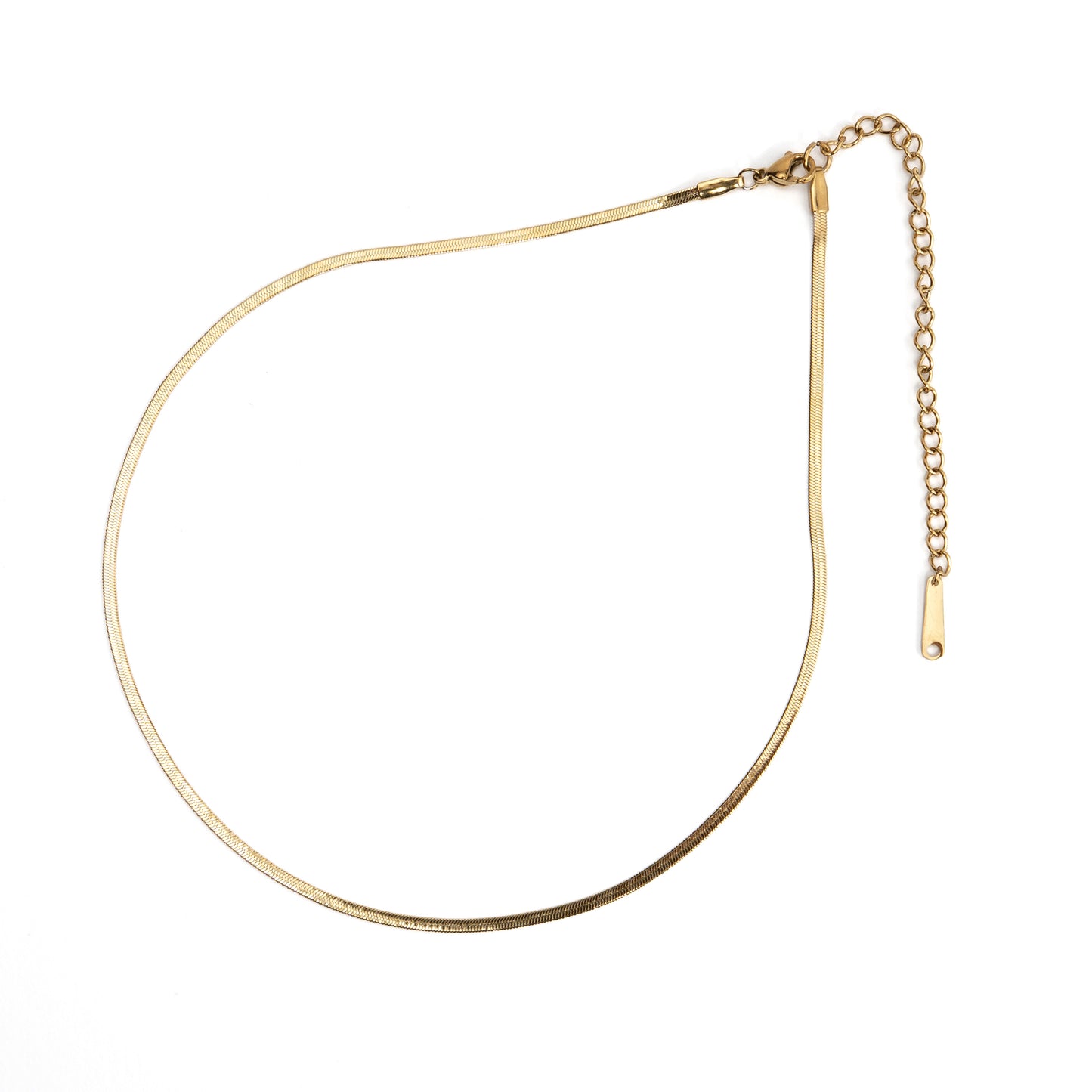 Sleek Snake Chain Necklace