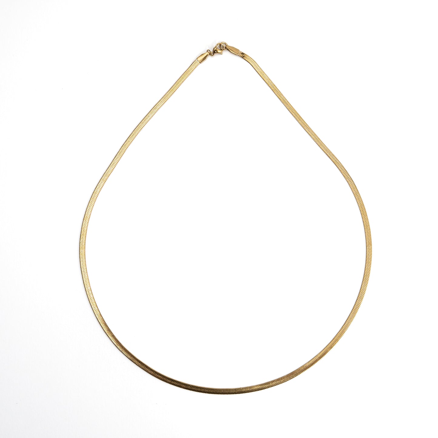 Sleek Snake Chain Necklace